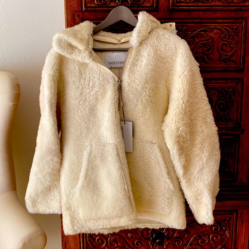 Intuition Paris Leather and Shearling coat with removable hoodie